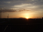 49172.jpg (561KB)