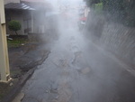 50305.jpg (610KB)